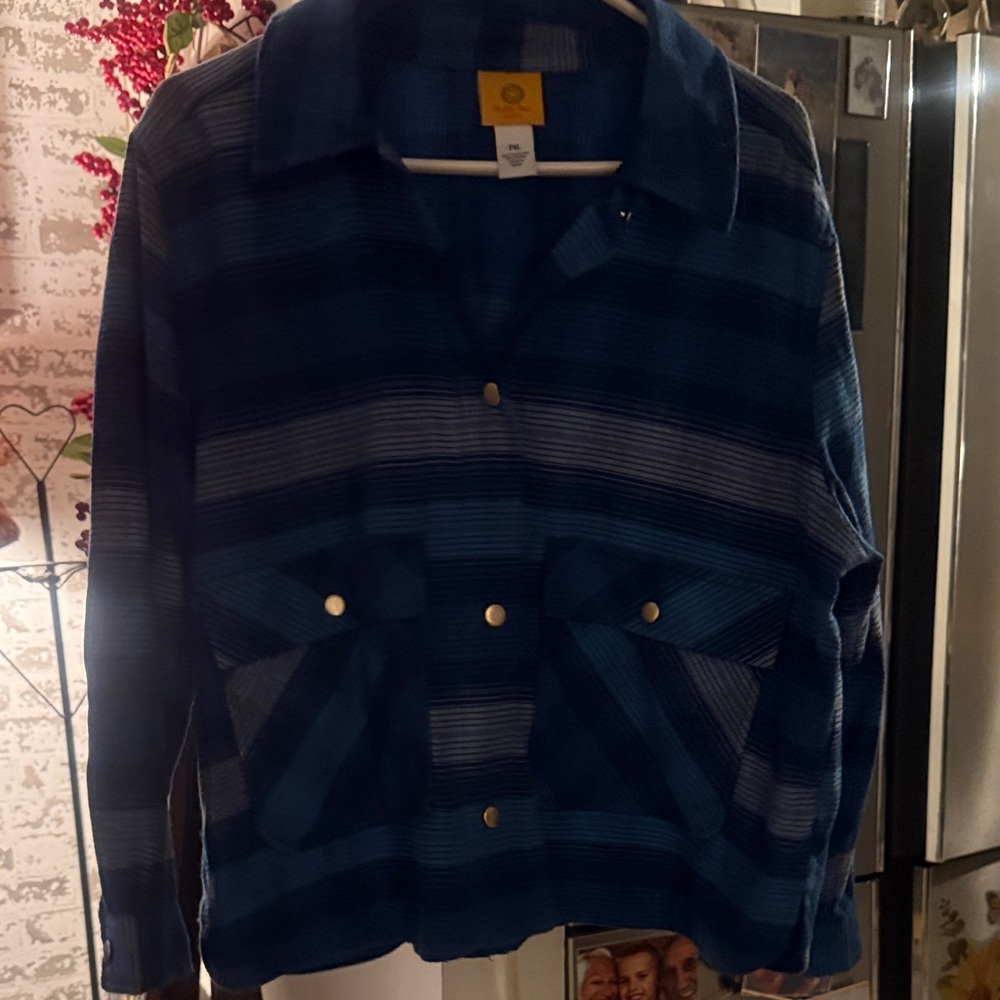 Blue Striped Button-Up shirt